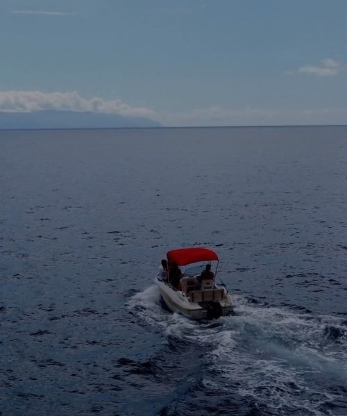 imgi_15_500881612_635136353020077_1651327790728479736_n