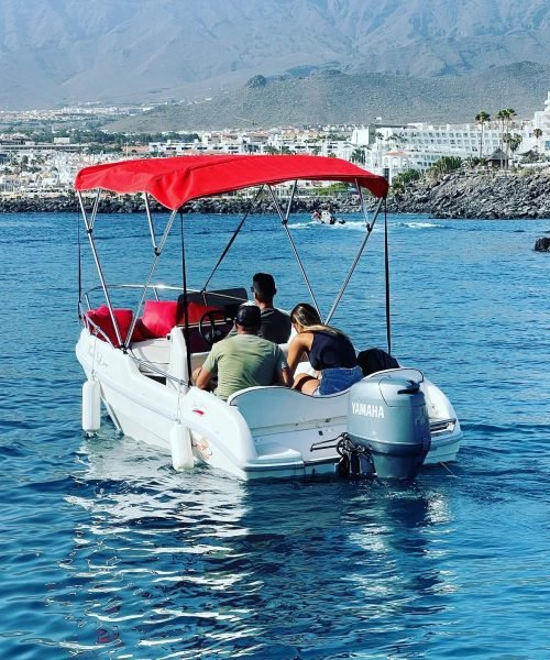 imgi_28_217507160_948038039385260_6629519455466156977_n