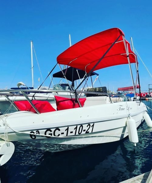 imgi_30_217651573_145849070963124_3559606053016048978_n