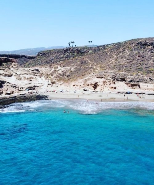 imgi_31_213254410_128229142787887_1072188282690357199_n