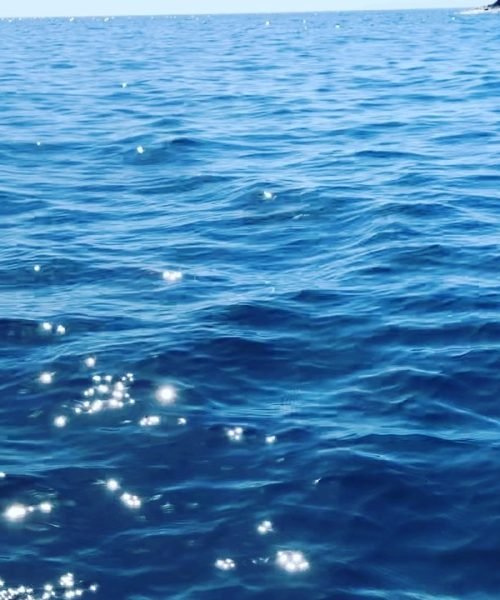 imgi_33_527483318_767119579239184_959324426229722510_n