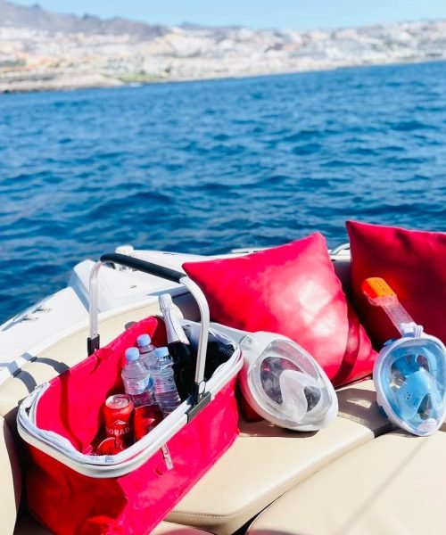 imgi_5_482242499_683448950694885_2229525146555605882_n