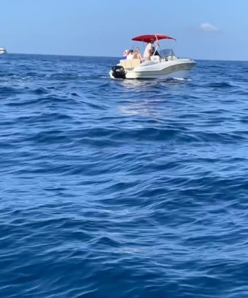 imgi_8_525859414_761085173086351_7154449867474061754_n