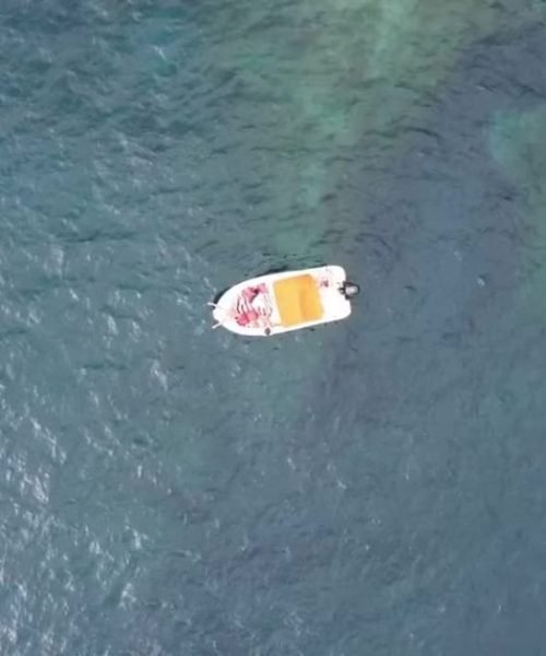 imgi_9_501585766_1375002253769475_5223272966884877440_n